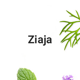 Ziaja