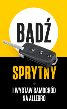 SG_sVer_StrefaOgloszen_StrefaOgloszen_Ogloszenia_grafika