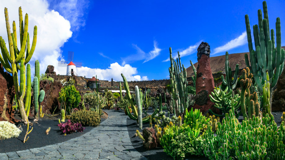 Záhrada kaktusu lanzarote
