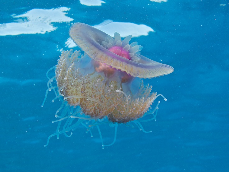 meracie zariadenia 2
