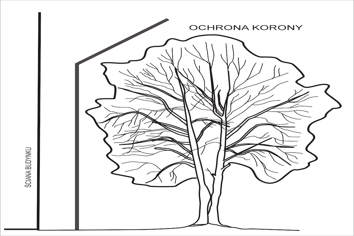 ochrona korony