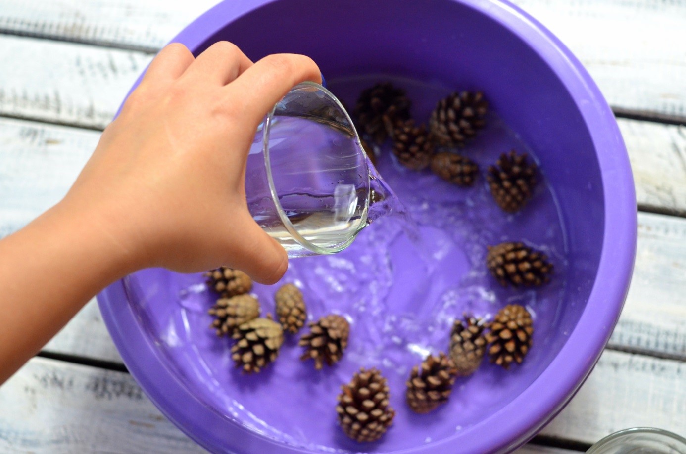 cones 4 cones 4