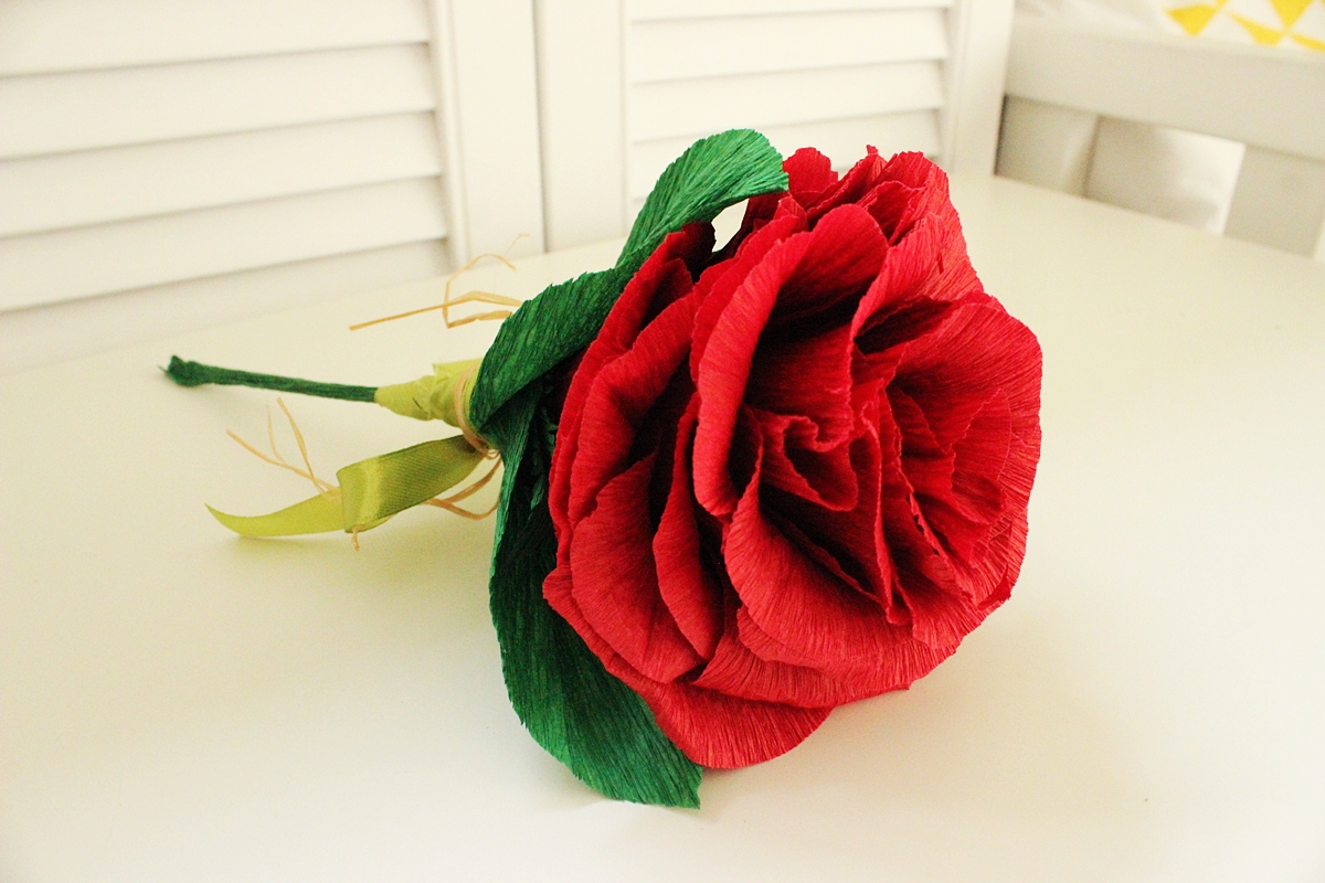 foto number 11