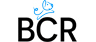 logo BCRetail