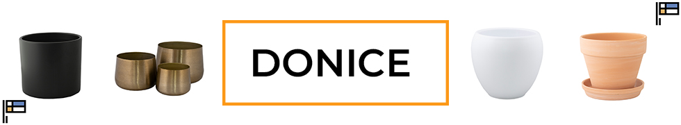 DONICE