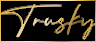 logo oficjalnego sklepu Moda Trusky