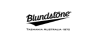logo oficjalnego sklepu Blundstone