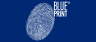 logo oficjalnego sklepu marki Blue Print