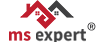 logo ms-expert2