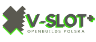 logo v-slot-polska