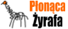 -PlonacaZyrafa-