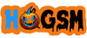 logo HQGSMpl