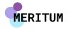 logo MERITUM-one