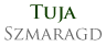 logo tujaszmaragd_com