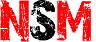 logo NSM-Pabianice